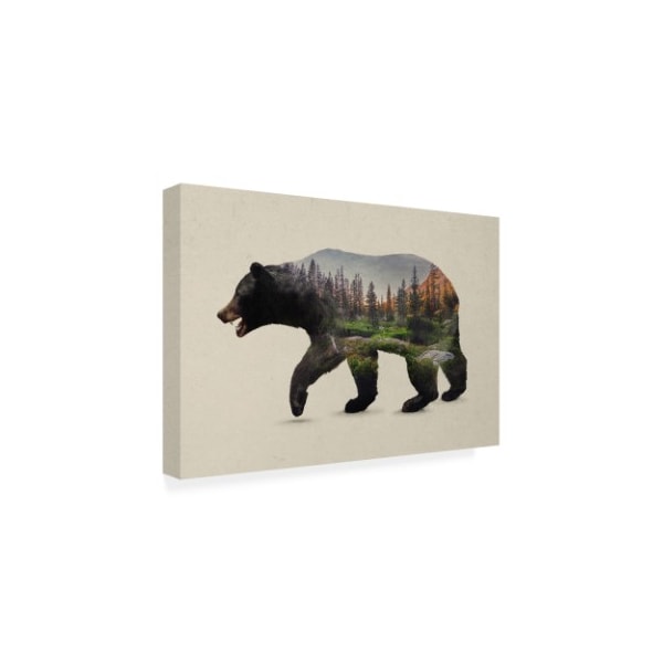 Davies Babies 'The North American Black Bear' Canvas Art,30x47